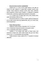 Biznesa plāns 'Uzņēmuma "X" biznesa attīstības plāns', 4.