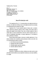 Biznesa plāns 'Uzņēmuma "X" biznesa attīstības plāns', 6.