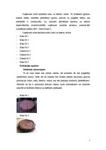 Biznesa plāns 'Uzņēmuma "X" biznesa attīstības plāns', 7.