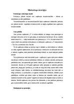 Biznesa plāns 'Uzņēmuma "X" biznesa attīstības plāns', 14.