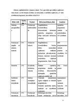 Biznesa plāns 'Uzņēmuma "X" biznesa attīstības plāns', 21.