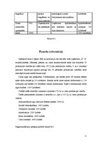 Biznesa plāns 'Uzņēmuma "X" biznesa attīstības plāns', 22.