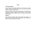 Paraugs 'Absolūti melna ķermeņa starojums', 2.