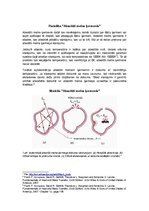Paraugs 'Absolūti melna ķermeņa starojums', 3.