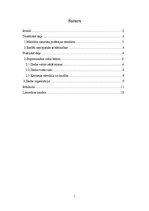 Referāts 'Manikīra meistara darba vides ergonomiskais izvērtējums', 1.