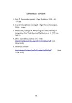 Referāts 'Manikīra meistara darba vides ergonomiskais izvērtējums', 12.