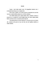 Referāts 'Liepājas pilsēta un tās tēls', 4.