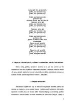 Referāts 'Liepājas pilsēta un tās tēls', 8.
