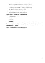 Referāts 'Žurnāla "Ilustrētā Pasaules Vēsture" analīze', 4.