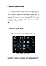 Referāts 'Černobiļas AES katastrofas ietekme', 5.