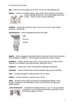 Konspekts 'Arhitektūras terminoloģija', 1.