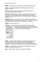 Konspekts 'Arhitektūras terminoloģija', 3.