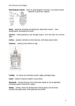 Konspekts 'Arhitektūras terminoloģija', 5.