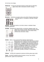 Konspekts 'Arhitektūras terminoloģija', 6.