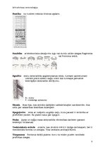 Konspekts 'Arhitektūras terminoloģija', 9.