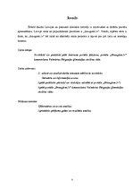 Referāts 'Draugiem.lv portāls un tā attīstība', 3.