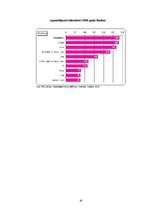 Referāts 'Draugiem.lv portāls un tā attīstība', 20.
