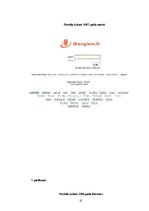 Referāts 'Draugiem.lv portāls un tā attīstība', 22.