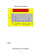 Referāts 'Draugiem.lv portāls un tā attīstība', 28.