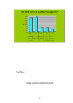 Referāts 'Draugiem.lv portāls un tā attīstība', 29.