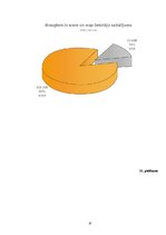 Referāts 'Draugiem.lv portāls un tā attīstība', 37.