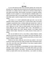 Diplomdarbs 'Viesu māja Bauskā', 6.