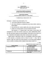 Diplomdarbs 'Viesu māja Bauskā', 11.