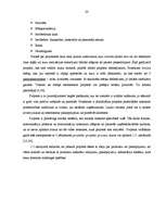 Diplomdarbs 'Viesu māja Bauskā', 20.