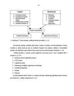 Diplomdarbs 'Viesu māja Bauskā', 22.