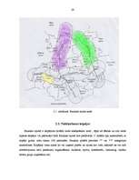 Diplomdarbs 'Viesu māja Bauskā', 29.