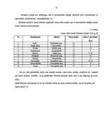 Diplomdarbs 'Viesu māja Bauskā', 30.