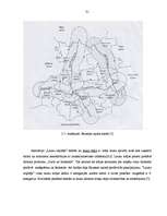 Diplomdarbs 'Viesu māja Bauskā', 31.