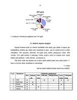 Diplomdarbs 'Viesu māja Bauskā', 32.
