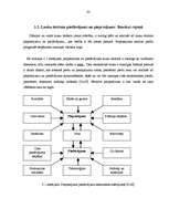 Diplomdarbs 'Viesu māja Bauskā', 43.