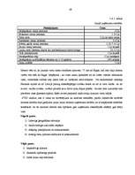 Diplomdarbs 'Viesu māja Bauskā', 49.