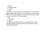 Diplomdarbs 'Viesu māja Bauskā', 51.