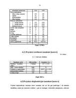 Diplomdarbs 'Viesu māja Bauskā', 54.