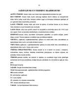 Diplomdarbs 'Viesu māja Bauskā', 62.