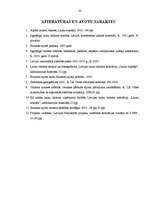 Diplomdarbs 'Viesu māja Bauskā', 63.