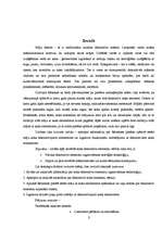 Referāts 'Māju dekoratīvie elementi Rēzeknes pilsētas vēsturiskajā apbūvē', 3.