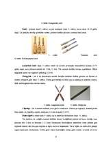 Referāts 'Māju dekoratīvie elementi Rēzeknes pilsētas vēsturiskajā apbūvē', 8.