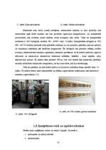 Referāts 'Māju dekoratīvie elementi Rēzeknes pilsētas vēsturiskajā apbūvē', 10.