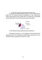 Referāts 'Māju dekoratīvie elementi Rēzeknes pilsētas vēsturiskajā apbūvē', 20.