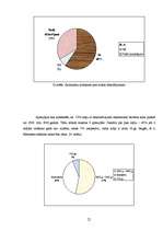 Referāts 'Māju dekoratīvie elementi Rēzeknes pilsētas vēsturiskajā apbūvē', 21.