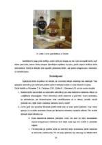 Referāts 'Māju dekoratīvie elementi Rēzeknes pilsētas vēsturiskajā apbūvē', 24.