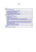 Referāts 'Poļu Inflantijas kņaziste. Trešais Lietuvas statūts', 2.