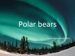Prezentācija 'Polar Bears', 1.