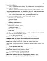 Konspekts 'Preču cenas, to veidošanas metodes, taktikas, stratēģijas', 1.