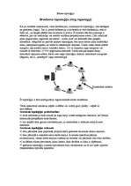 Referāts 'Gredzena topoloģija', 2.