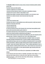 Konspekts 'Dinamikas rindas', 2.